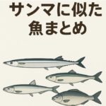 秋刀魚に似た魚まとめ｜名前・味・価格・旬の時期をわかりやすく比較