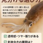 スーパーで新鮮なイカを見分ける選び方