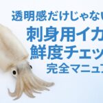 透明感だけじゃない！刺身用イカの鮮度チェック完全マニュアル