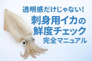 透明感だけじゃない！刺身用イカの鮮度チェック完全マニュアル