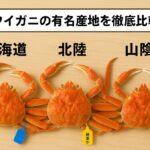 北海道vs北陸vs山陰｜ズワイガニの有名産地を徹底比較！