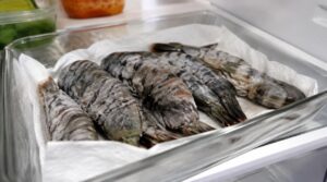 冷凍シータイガーを冷蔵庫で解凍する様子