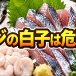 アジの白子は危険？食べる前に知っておきたいリスクと注意点
