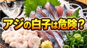 アジの白子は危険？食べる前に知っておきたいリスクと注意点
