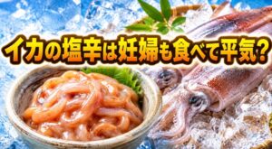 イカの塩辛は妊婦が食べてもいい？妊娠中に注意したい理由をわかりやすく解説