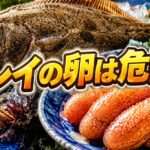 カレイの卵は危険？食べる前に知っておきたい注意点をわかりやすく解説