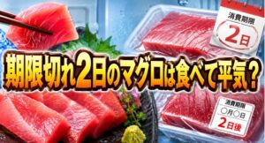 マグロが消費期限切れ2日でも食べられる？判断の目安と避けたほうがいいケース