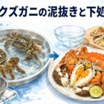 モクズガニの泥抜きと下処理|美味しい食べ方を完全ガイド