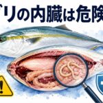 ブリの内臓が危険で食べられない理由｜寄生虫と毒素の真実