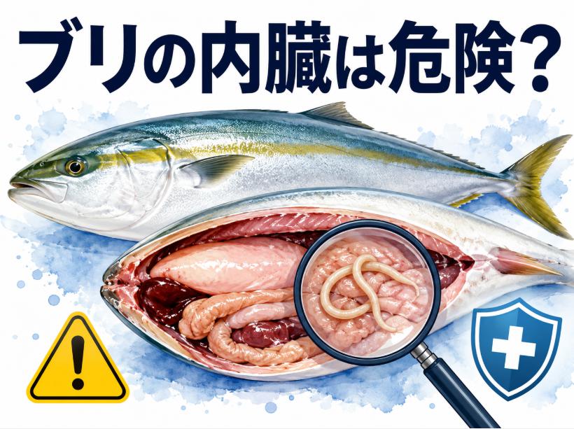 ブリの内臓が危険で食べられない理由｜寄生虫と毒素の真実