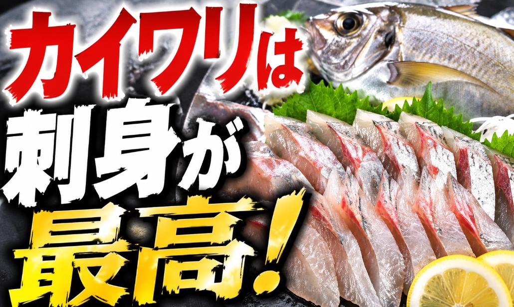 カイワリは刺身が最高!プロが教えるうまい食べ方と簡単料理レシピ