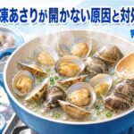 冷凍あさりが開かない原因と対処法｜調理のコツで必ず開く