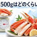 蟹500gはどのくらい？一人前の量と食べ方を完全ガイド