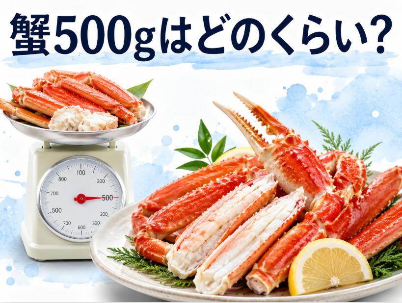 蟹500gはどのくらい?一人前の量と食べ方を完全ガイド