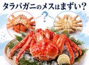タラバガニのメスはまずい？オスとの違いと理由を徹底解説