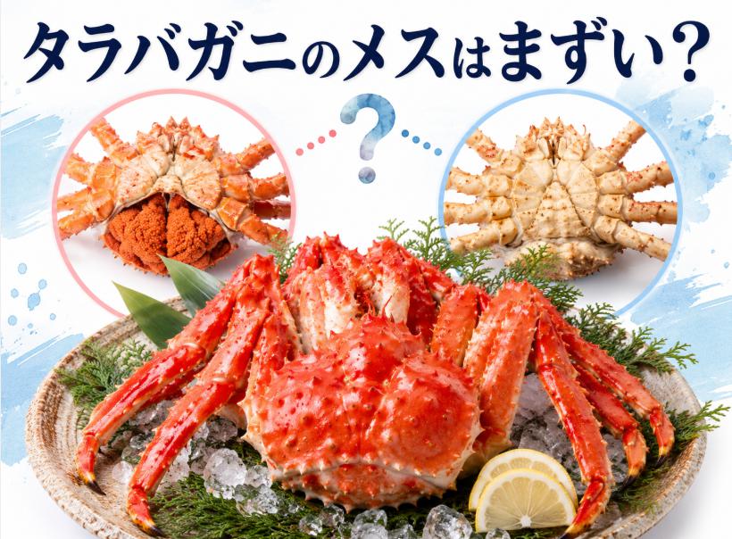 タラバガニのメスはまずい?オスとの違いと理由を徹底解説