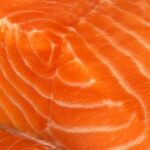 鮭の脂が乗ってる部位の見分け方！最高に美味しい選び方を徹底解説