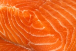 鮭の脂が乗ってる部位の見分け方！最高に美味しい選び方を徹底解説