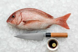 イシガキダイの刺身は独特の味わい！最高の食べ方と調理法を解説