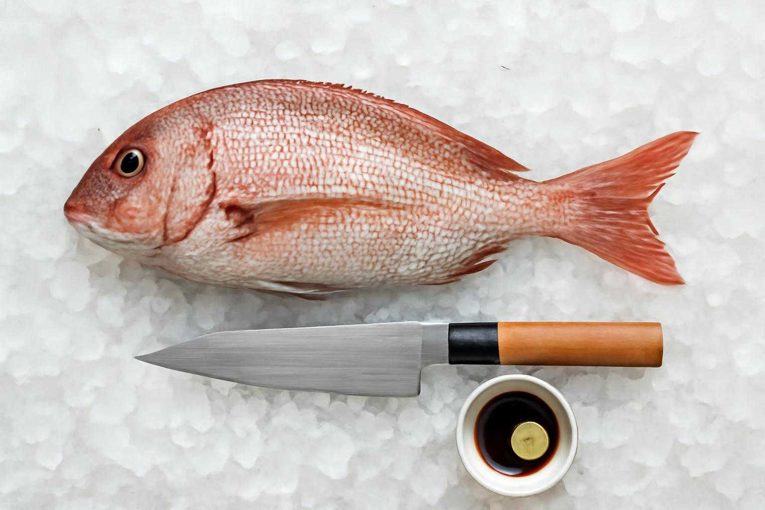 イシガキダイの刺身は独特の味わい!最高の食べ方と調理法を解説