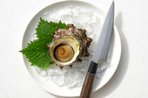 サザエの刺身は危険？食中毒を防ぐ正しい選び方と調理法