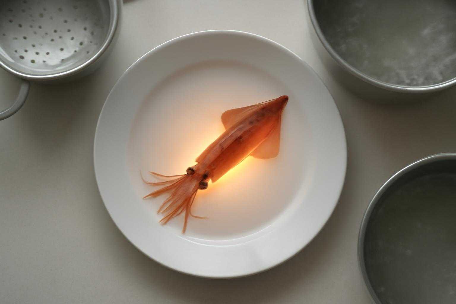 ホタルイカは妊婦が食べて大丈夫?寄生虫リスクと安全な食べ方