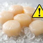 ほたての生食は危険？あたる理由と安全な食べ方を徹底解説