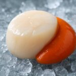 冷凍ほたてを選ぶなら必見！プロが教える新鮮で美味しいほたての選び方