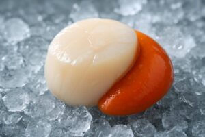 冷凍ほたてを選ぶなら必見！プロが教える新鮮で美味しいほたての選び方