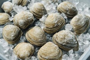 しじみを冷凍保存する方法|鮮度を保つコツと活用レシピ