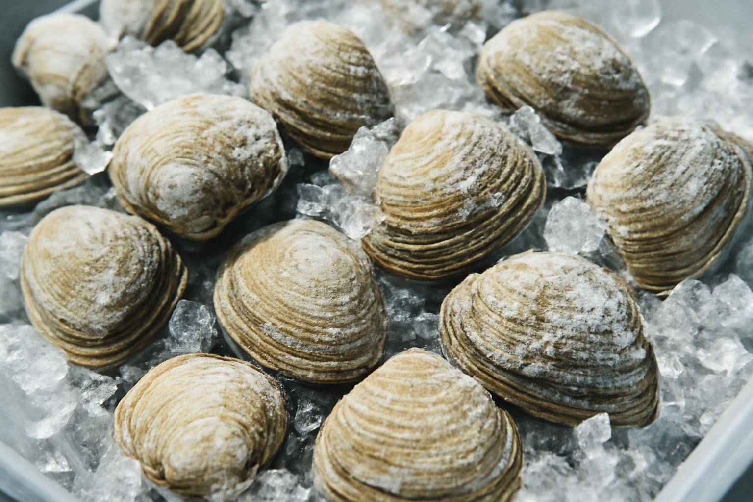 しじみを冷凍保存する方法|鮮度を保つコツと活用レシピ